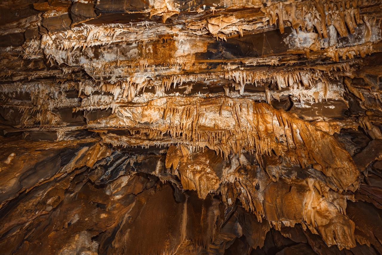 Ghaub Nature Reserve & Farm - One Namibia Grootfontein エクステリア 写真